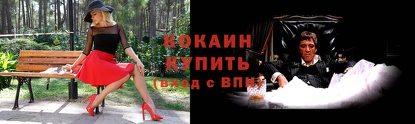 ECSTASY Медногорск