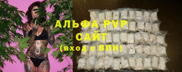ECSTASY Медногорск