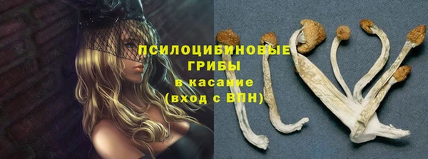СК Михайлов