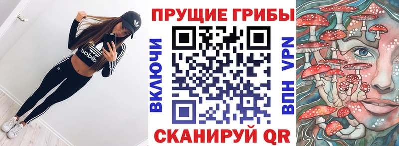 Купить  Мелеуз  Галлюциногенные грибы ЛСД 